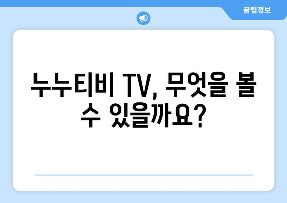 누누티비 TV에 대한 궁금증 해결