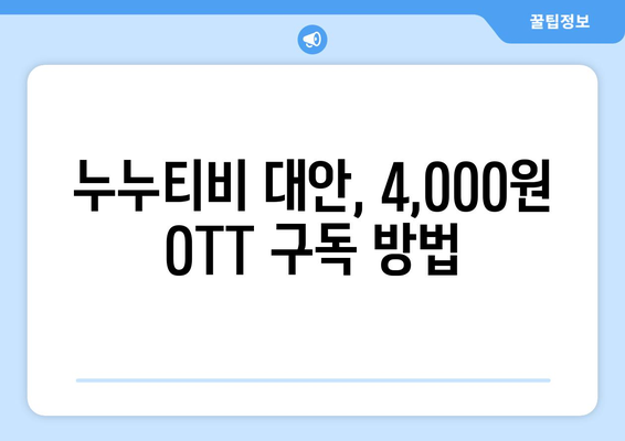 누누티비 없이 OTT를 4,000원에 구독하는 방법