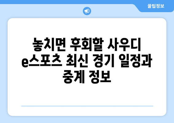 사우디 e스포츠 일정 및 중계 안내