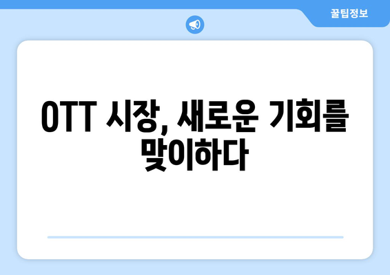 누누티비 폐쇄: OTT 시장에 미치는 영향