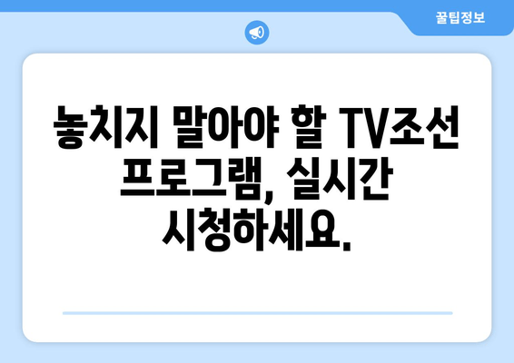 축구, 드라마, 예능까지! TV조선 온에어 무료 시청 가이드