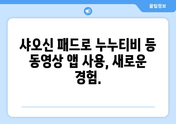 샤오신 패드의 숨은 기능: 누누티비 등 동영상 앱 지원