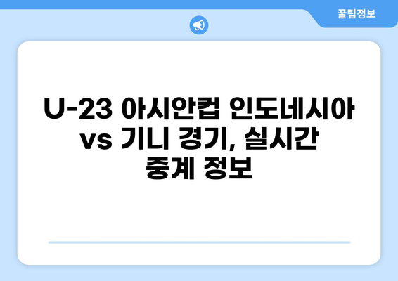 파리 올림픽 2024 AFC U-23 아시안컵 인도네시아 vs 기니 중계, 결과, 본선진출국