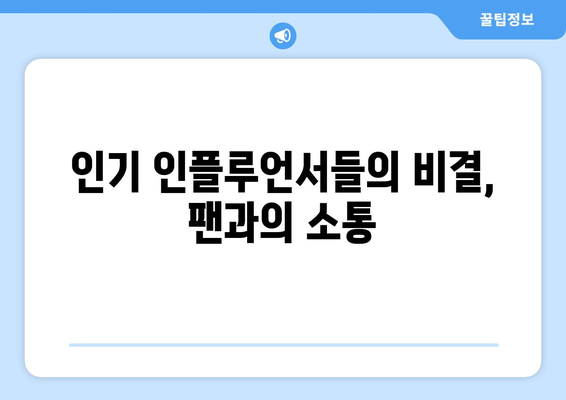 연예인 출신 인플루언서들의 더 인플루언서 도전기