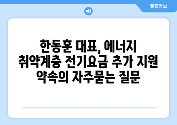 한동훈 대표, 에너지 취약계층 전기요금 추가 지원 약속