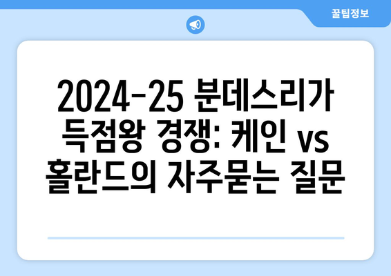 2024-25 분데스리가 득점왕 경쟁: 케인 vs 홀란드