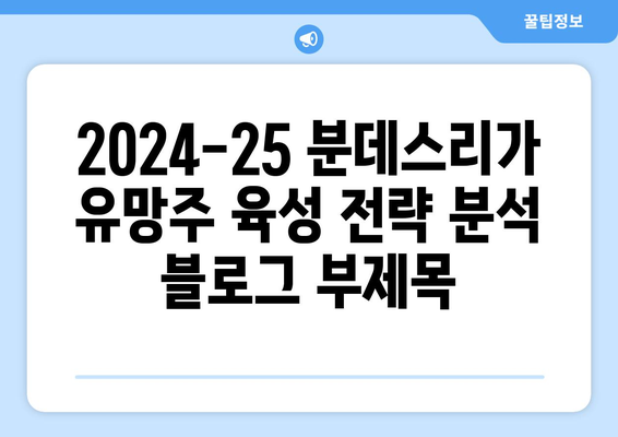 2024-25 분데스리가 유망주 육성 전략 분석