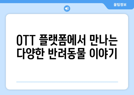 파묘 영화 OTT 무료 시청으로 반려동물의 이야기 공감