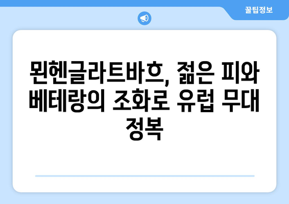 분데스리가 2024-2025: 보루시아 묀헨글라트바흐의 유럽 무대 야망