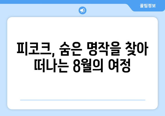 피코크에서 발견한 숨은 보석: 2024년 8월 추천 언더레이티드 쇼