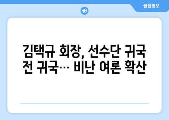 배드민턴협회 김택규 회장, 