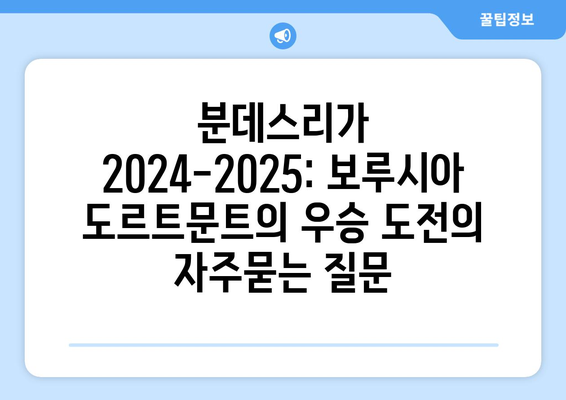 분데스리가 2024-2025: 보루시아 도르트문트의 우승 도전