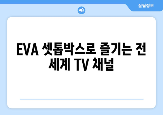 전 세계 TV 채널, 영화, 드라마 무료 시청 셋톱박스 EVA