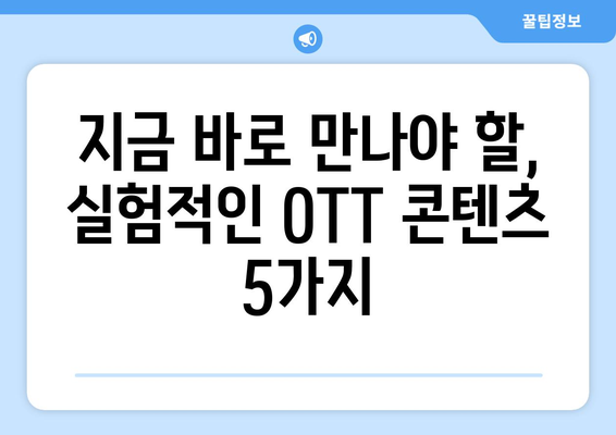 실험적이고 아방가르드한 OTT 콘텐츠: 2024년 8월 특집