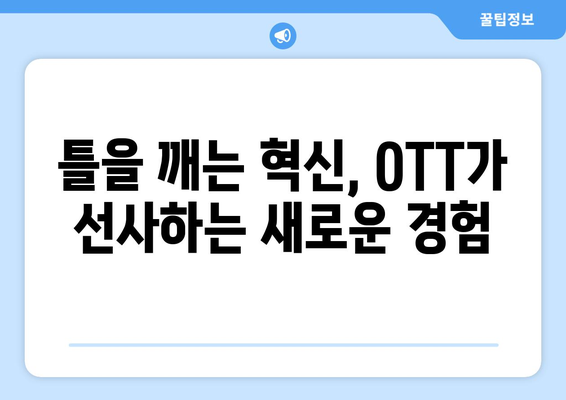 실험적이고 아방가르드한 OTT 콘텐츠: 2024년 8월 특별전