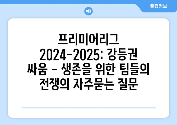 프리미어리그 2024-2025: 강등권 싸움 - 생존을 위한 팀들의 전쟁