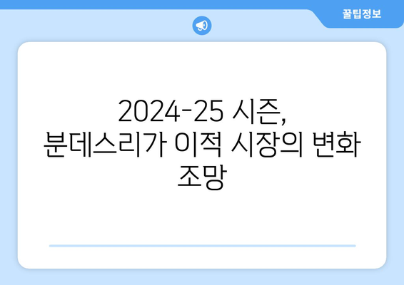 분데스리가 2024-25 시즌 주목할 이적생 TOP 10