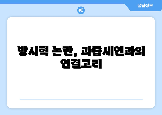 과즙세연이 밝힌 32억 수입의 진실: 방시혁 논란과 맞물린 관심