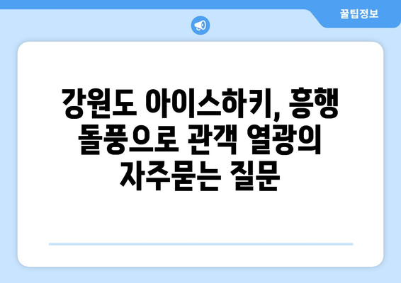 강원도 아이스하키, 흥행 돌풍으로 관객 열광