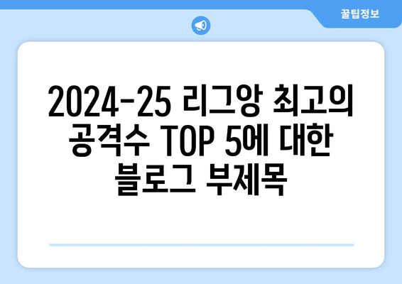 2024-25 리그앙 최고의 공격수 TOP 5