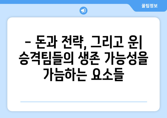 프리미어리그 2024-2025: 승격팀들의 생존 가능성 분석