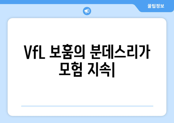 분데스리가 2024-2025: VfL 보훔의 분데스리가 모험 지속