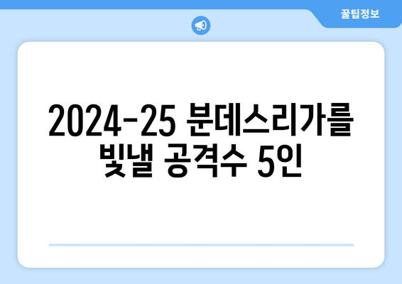 2024-25 분데스리가 최고의 공격수 TOP 5