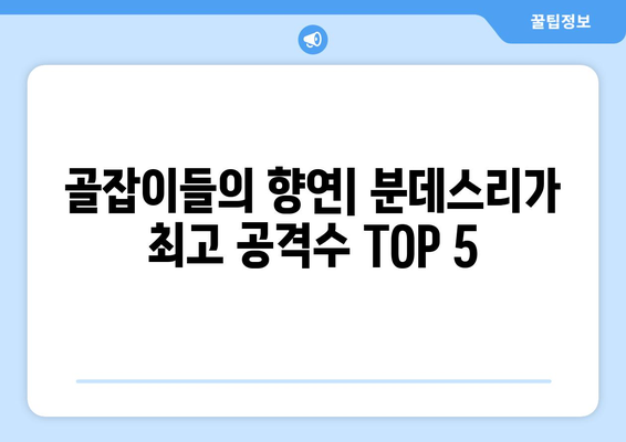 2024-25 분데스리가 최고의 공격수 TOP 5