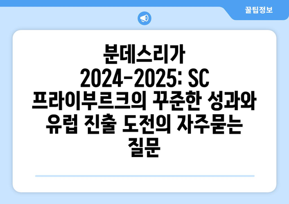 분데스리가 2024-2025: SC 프라이부르크의 꾸준한 성과와 유럽 진출 도전