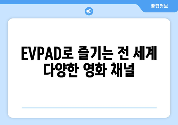 전 세계 TV 채널 영화, 드라마 무료 시청: EVPAD 시리즈