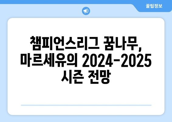 리그 1 2024-2025: 마르세유의 챔피언스리그 진출 도전