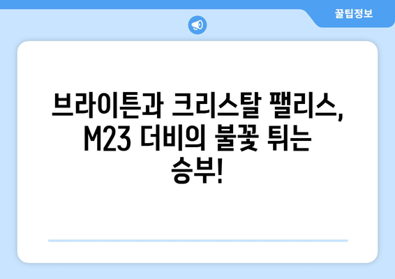 프리미어리그 2024-2025: M23 더비 - 브라이튼 vs 크리스탈 팰리스 라이벌전