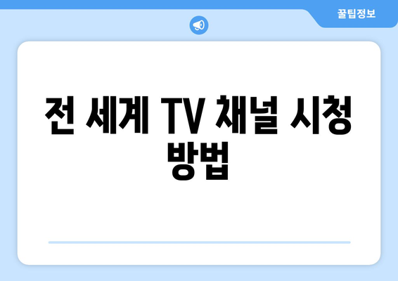 EVPAD 셋탑박스로 전 세계 TV 채널과 드라마 무료 시청