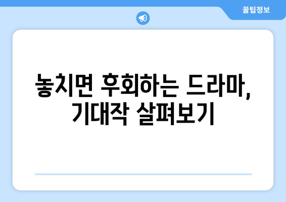 티빙 8월 한국 드라마 특집: 2024년 여름 놓치면 후회할 작품들