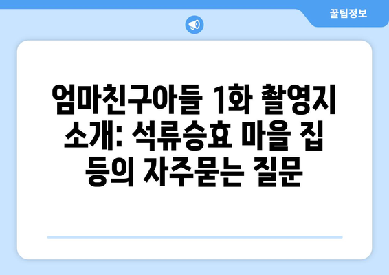 엄마친구아들 1화 촬영지 소개: 석류승효 마을 집 등