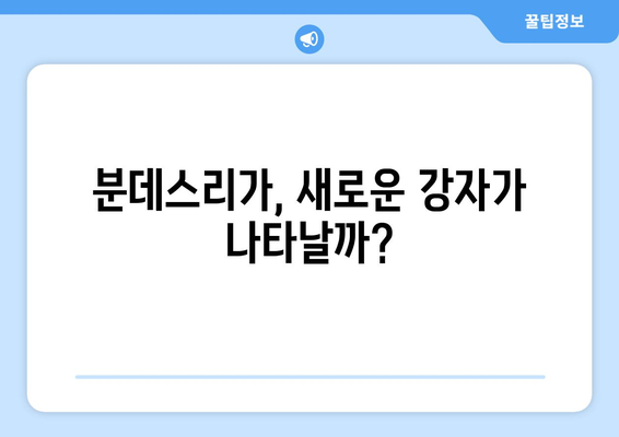 분데스리가 2024-25 시즌 유럽 진출권 경쟁 예측