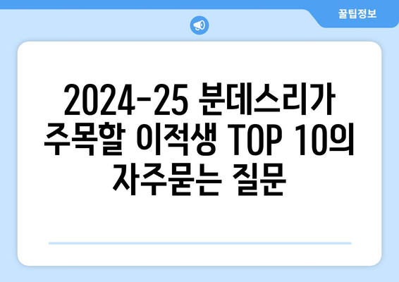 2024-25 분데스리가 주목할 이적생 TOP 10