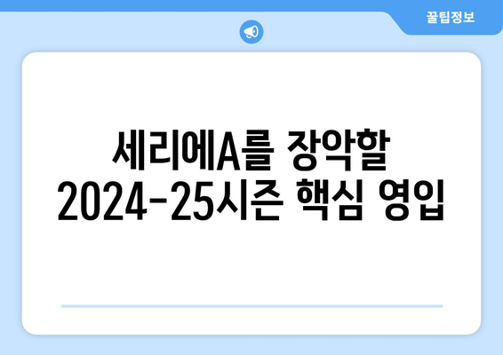 2024-25 세리에A 주목할 이적생 TOP 10