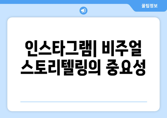 더 인플루언서 출연진의 SNS 활용법: 플랫폼별 전략 비교