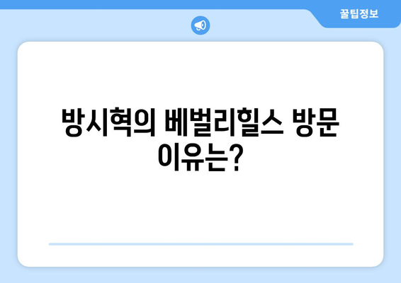 방시혁-과즙세연 베벌리힐스 동행: 네티즌 반응과 추측