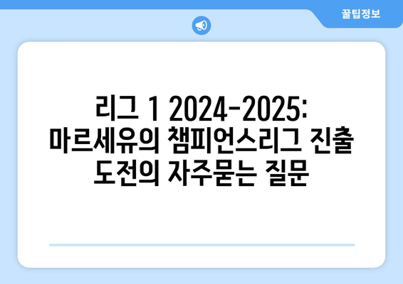 리그 1 2024-2025: 마르세유의 챔피언스리그 진출 도전