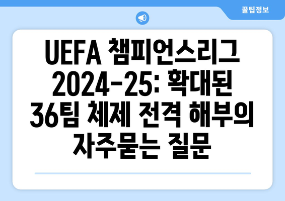 UEFA 챔피언스리그 2024-25: 확대된 36팀 체제 전격 해부