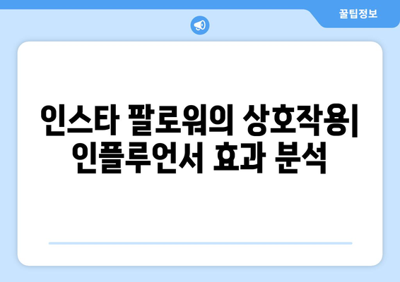 유튜브 구독자 vs 인스타 팔로워: 더 인플루언서 출연진 영향력 비교