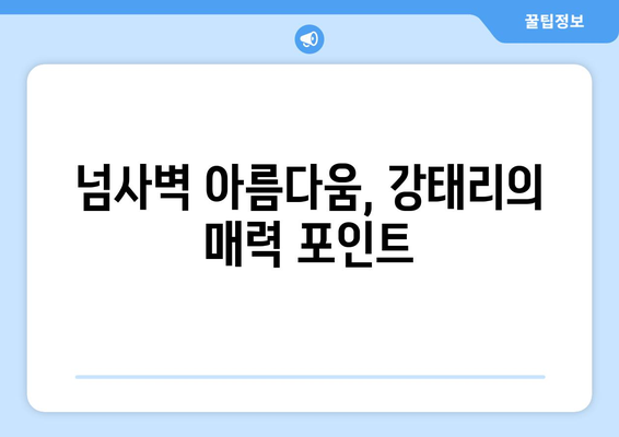 강태리, 다 가졌네..비키니 자태로 넘사벽 아름다움 과시