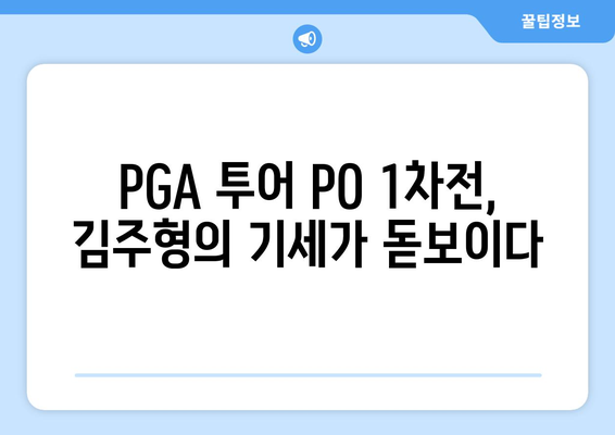 PGA 투어 PO 1차전 2R: 보기 없이 버디 6개로 김주형이 공동 13위 돌파