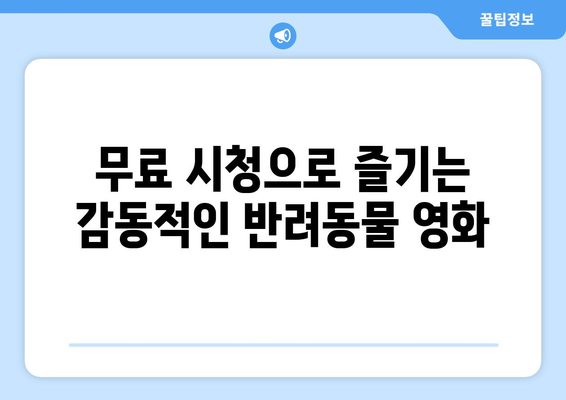 파묘 영화 OTT 무료 시청으로 반려동물의 이야기 공감