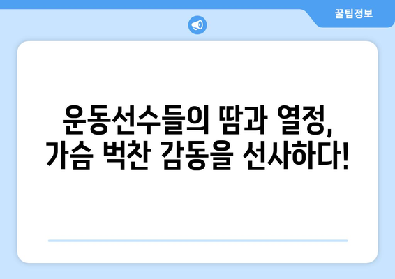 넷플릭스 8월 스포츠 다큐멘터리 특집 - 땀과 열정의 기록