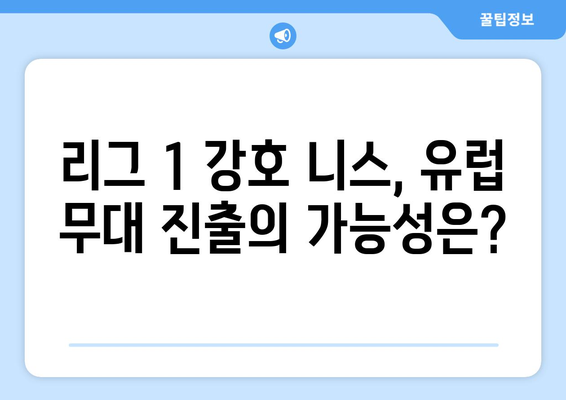 리그 1 2024-2025: 니스의 투자와 유럽 무대 진출 도전