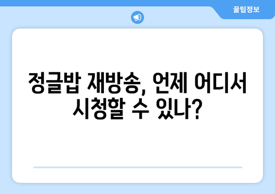 정글밥: 재방송 시청, OTT 시청 가능, 출연진 정보