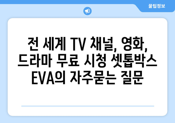 전 세계 TV 채널, 영화, 드라마 무료 시청 셋톱박스 EVA